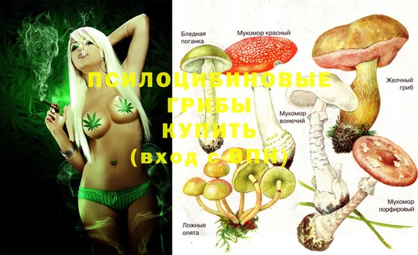 героин Абаза