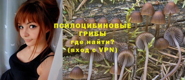 бошки Алексин