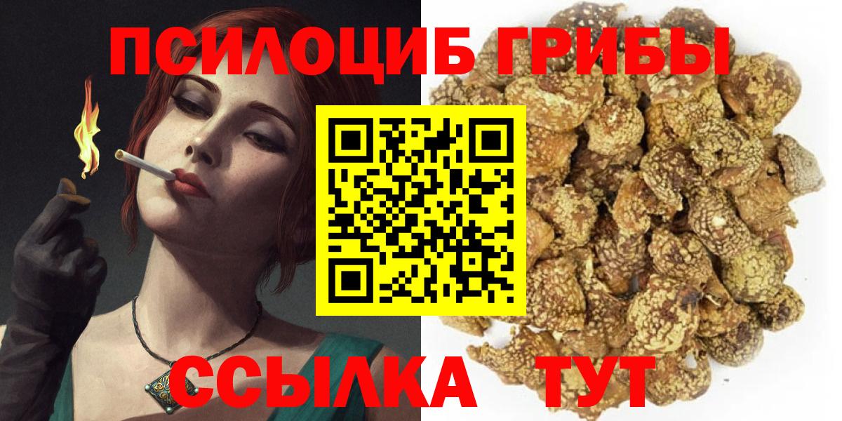 Галлюциногенные грибы Psilocybine cubensis  Вход с VPN  Ангарск 